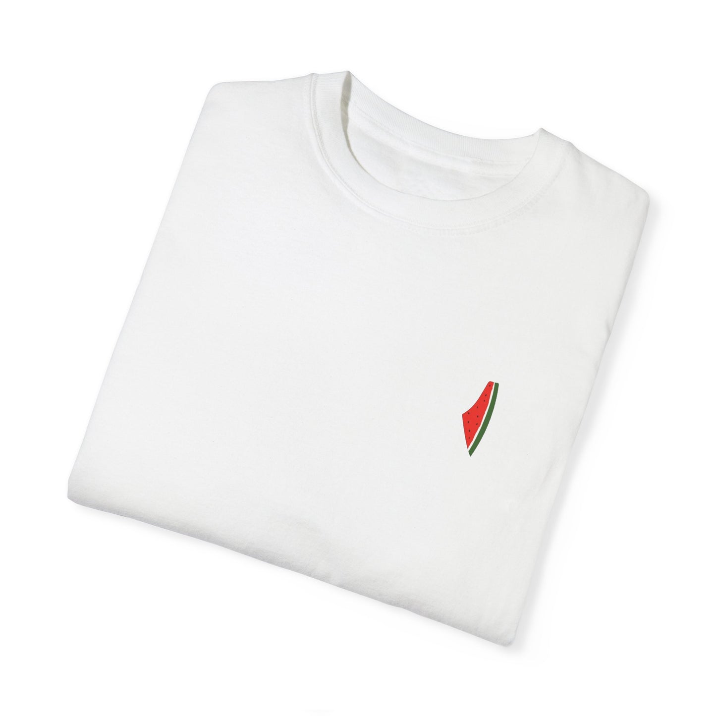 Palestine Map Watermelon Tee