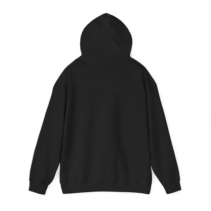 Israeli Occupied Territory Hoodie
