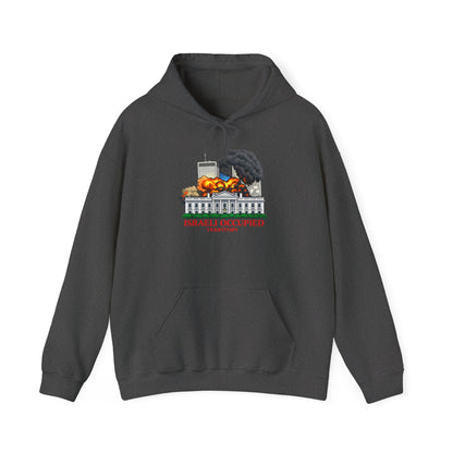Israeli Occupied Territory Hoodie