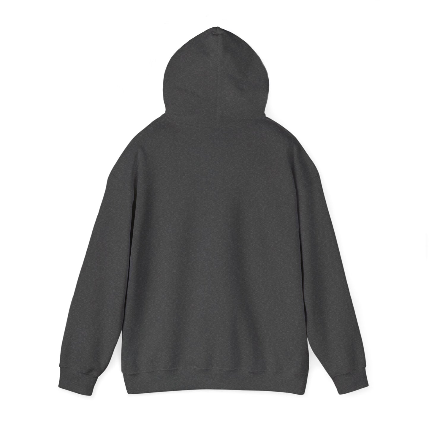Israeli Occupied Territory Hoodie