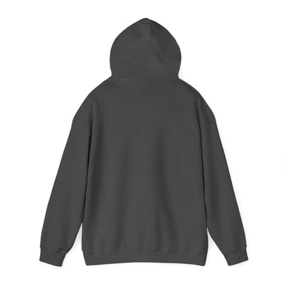 Israeli Occupied Territory Hoodie