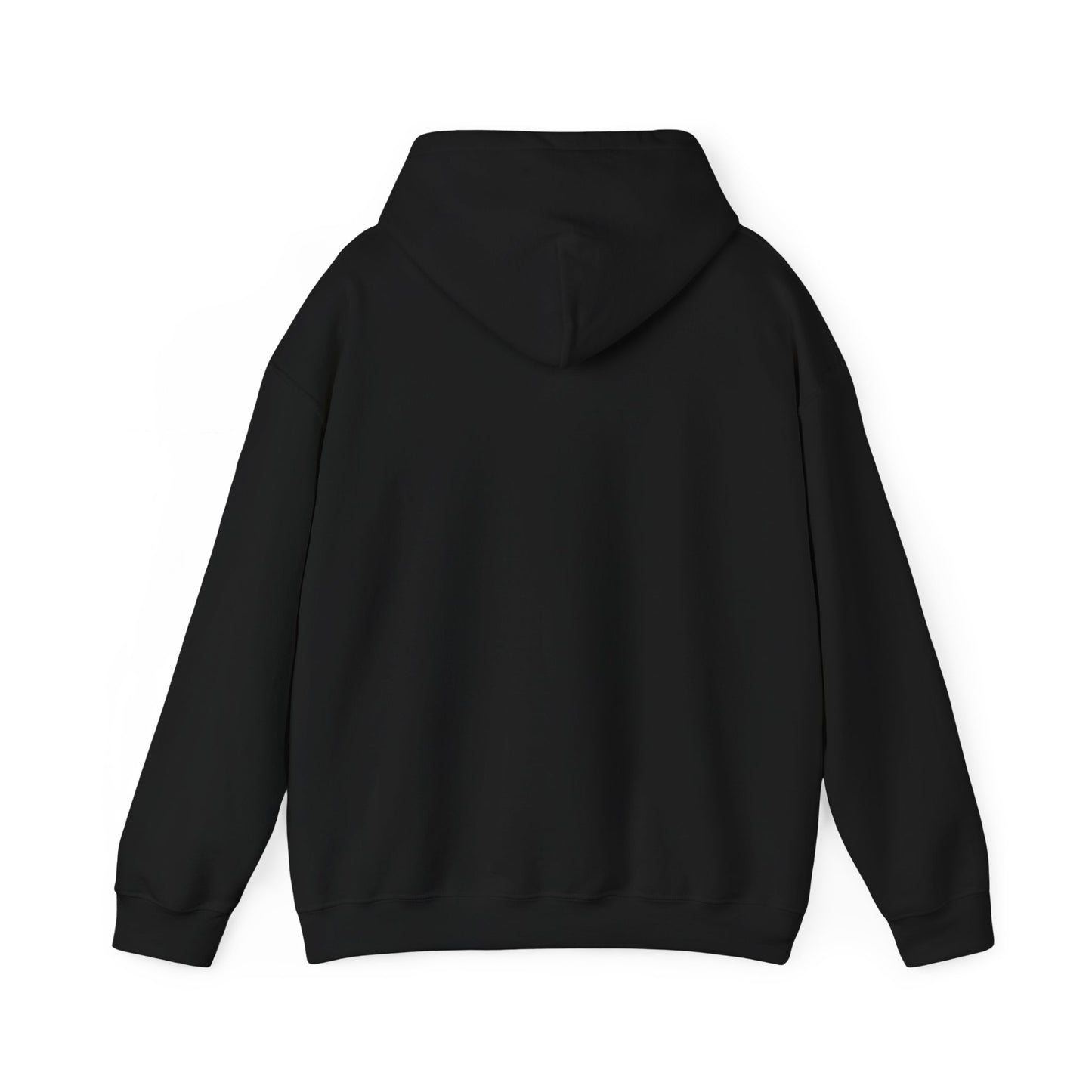 Israeli Occupied Territory Hoodie