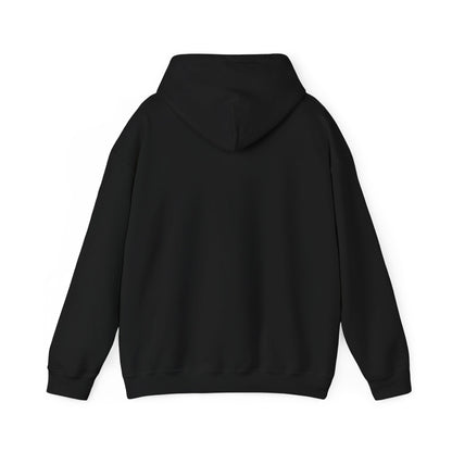 Israeli Occupied Territory Hoodie