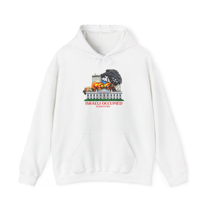Israeli Occupied Territory Hoodie