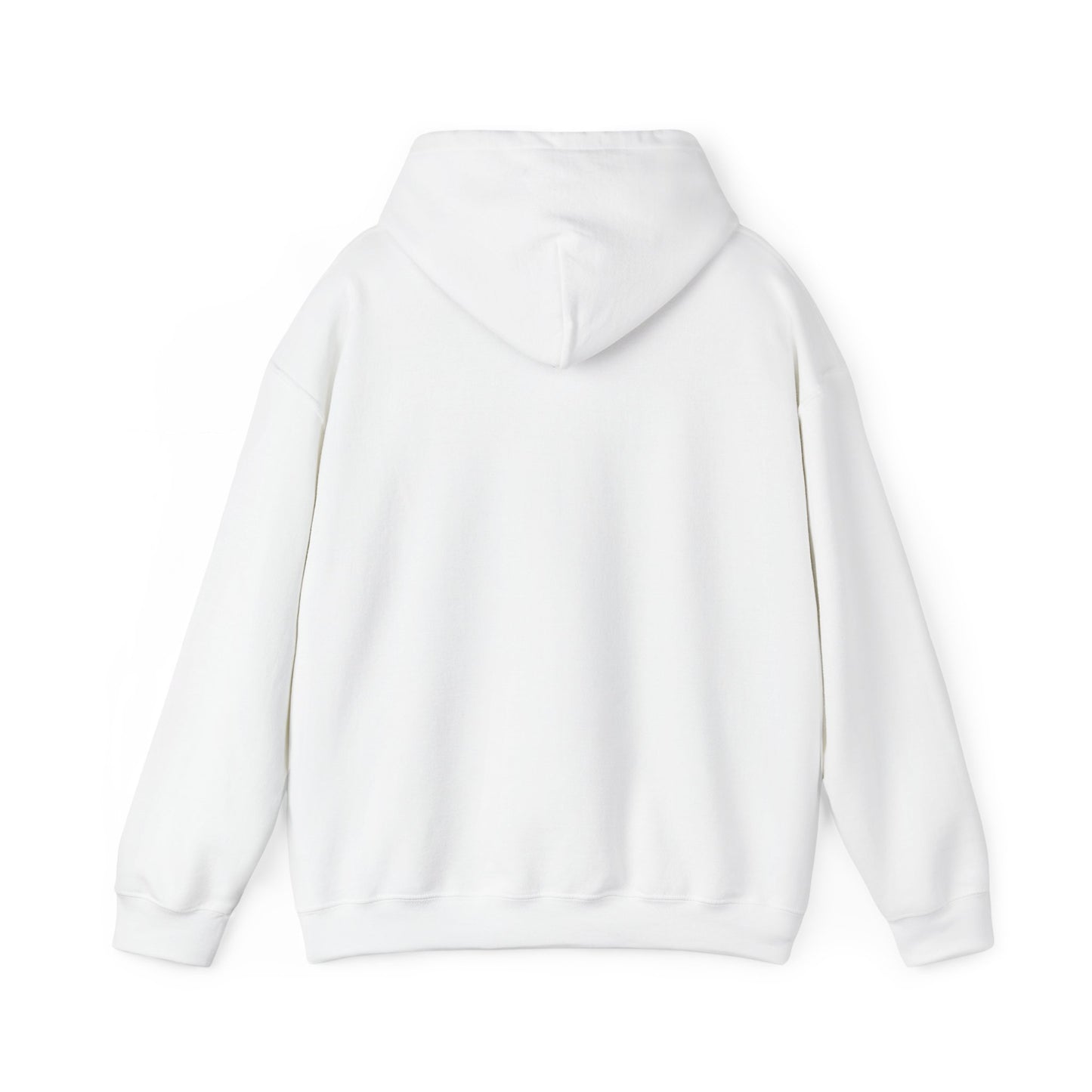 Israeli Occupied Territory Hoodie