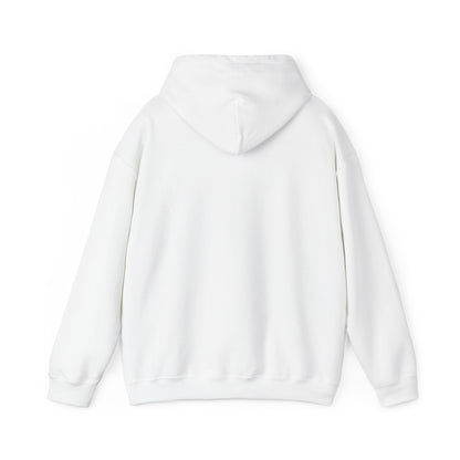 Israeli Occupied Territory Hoodie