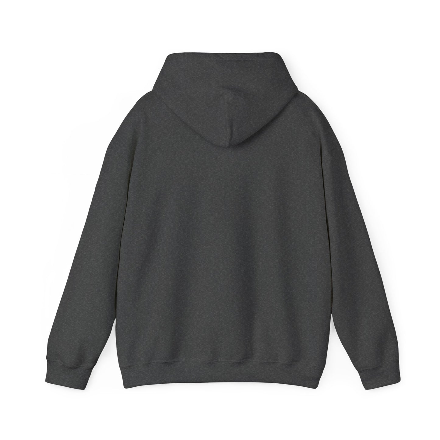 Israeli Occupied Territory Hoodie