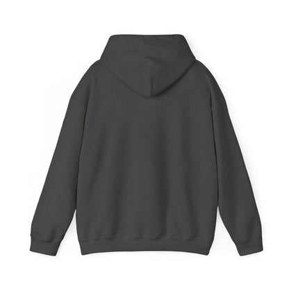 Israeli Occupied Territory Hoodie