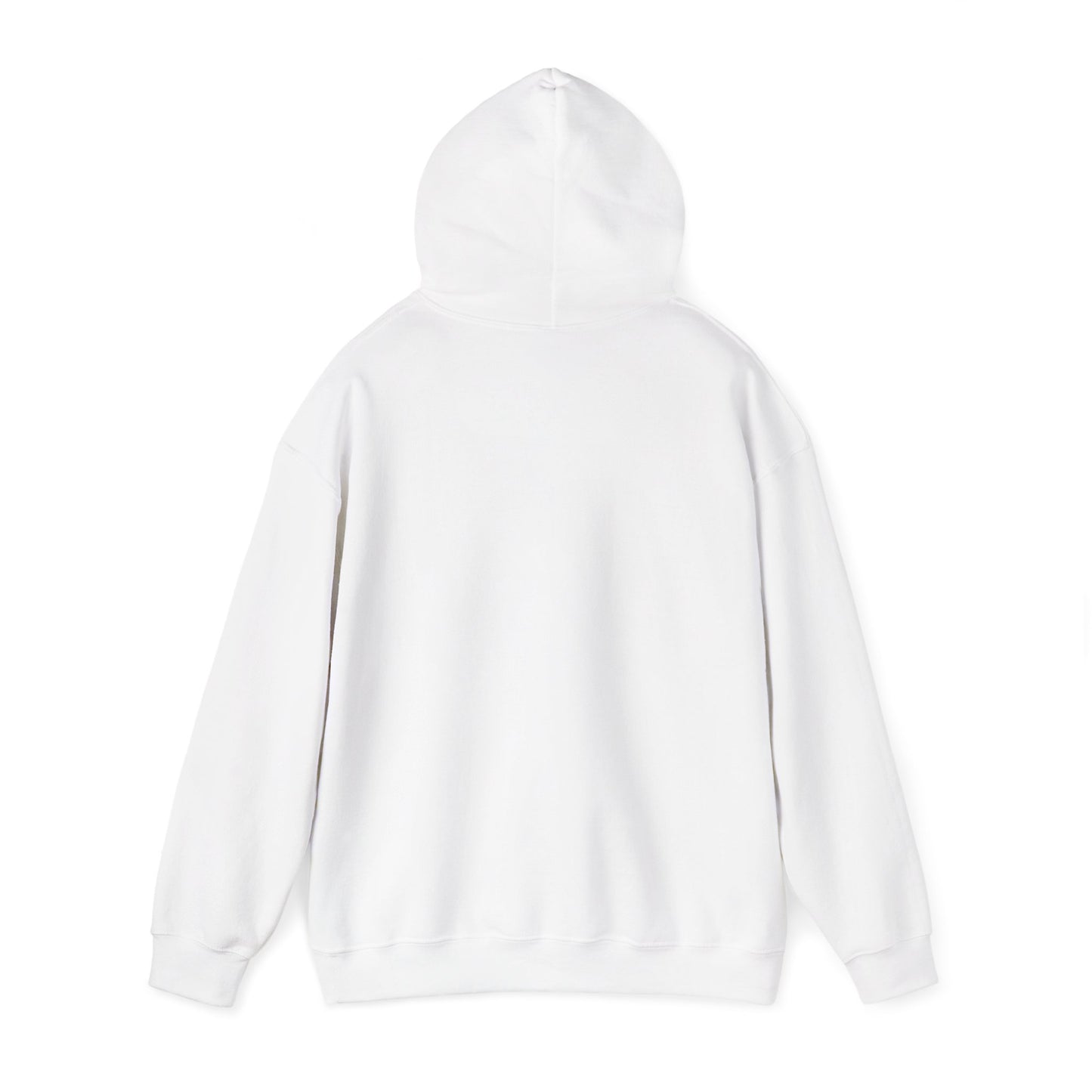 Israeli Occupied Territory Hoodie