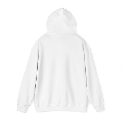 Israeli Occupied Territory Hoodie